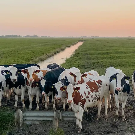 Maritime Secluded On The Dike *