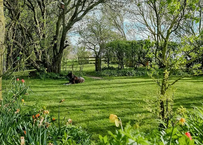 Maritime Secluded On The Dike Osterhever